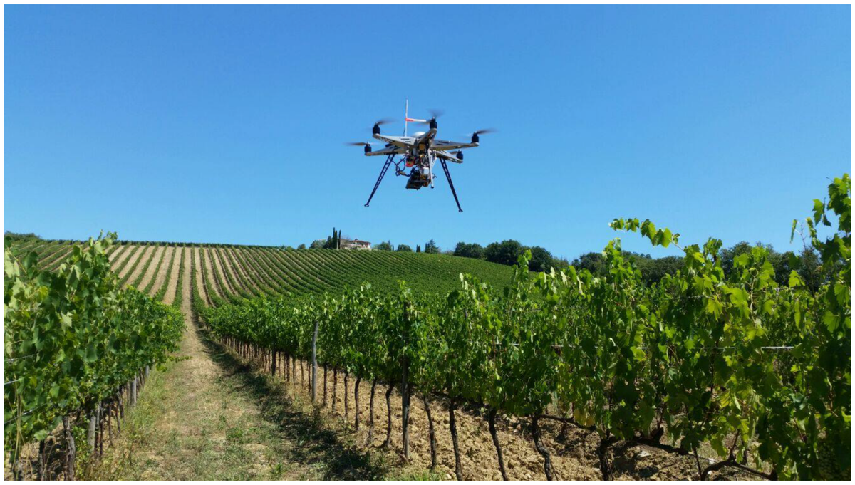 AgricultureMdpi's tweet image. Top 10 Cited Papers in #Agriculture in Last 2 Years No.3: Practical Applications of a #Multisensor UAV Platform Based on #Multispectral, Thermal and RGB High Resolution #Images in Precision #Viticulture by Alessandro Matese and Salvatore Filippo Di Gennaro mdpi.com/2077-0472/8/7/…
