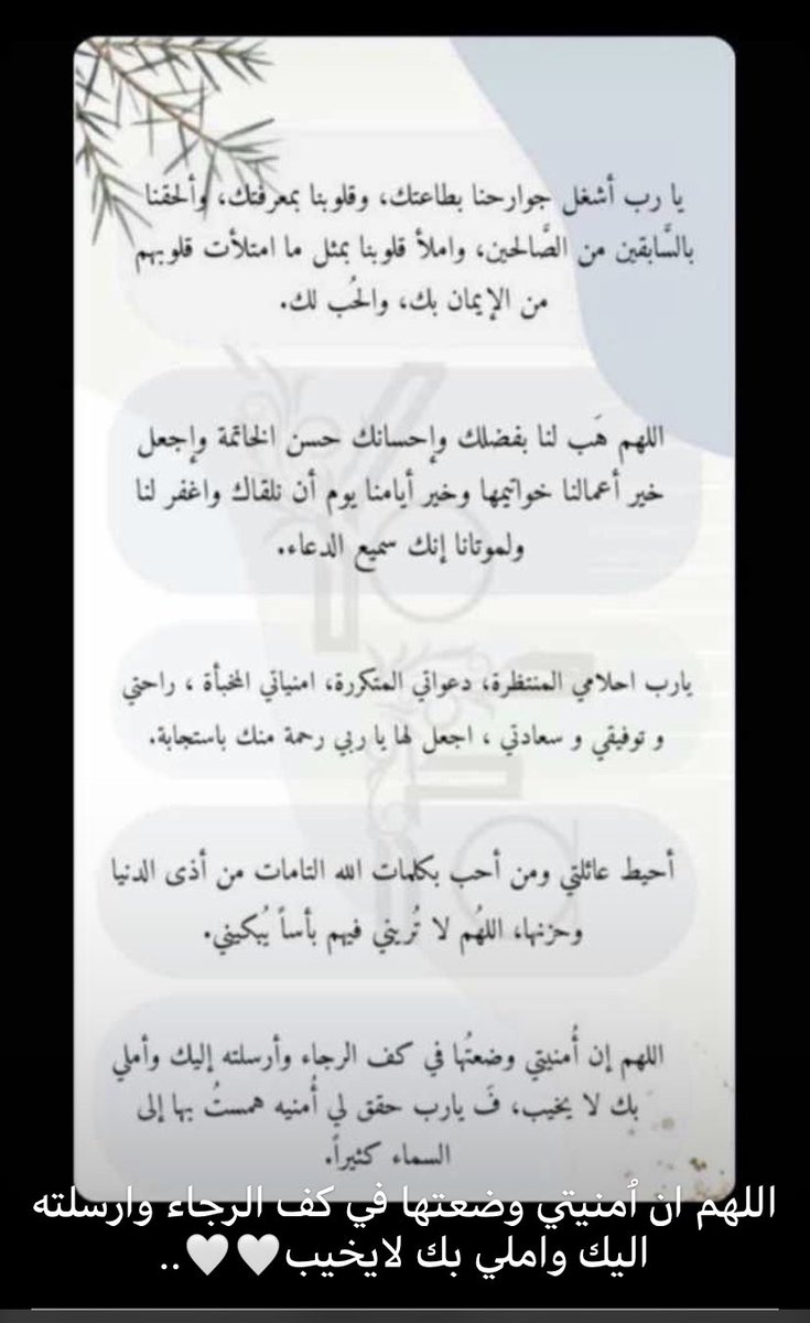 m_ao47's tweet photo. يارب🌿' https://t.co/QP2cSJYiSv