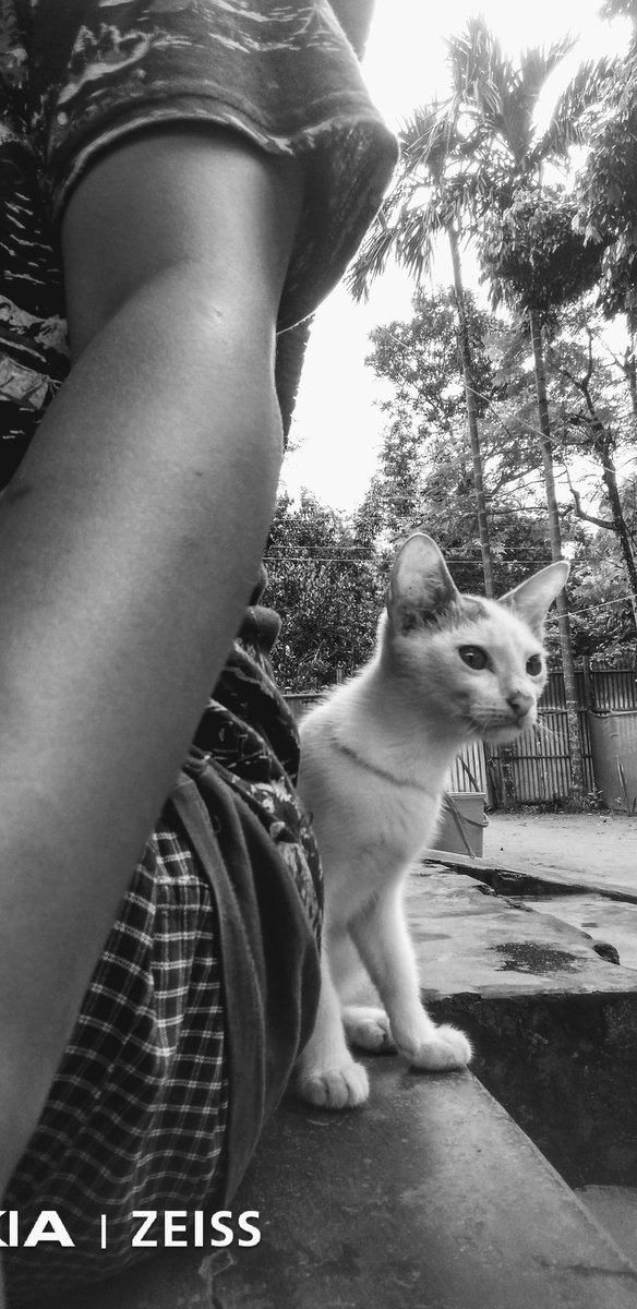 reviewborok's tweet photo. Happy #InternationalDayofFriendship - 
  
During Lockdown  📷 We can't spend time with friends  but for me  now 🐈♥️ https://t.co/b58ClIUpbE
