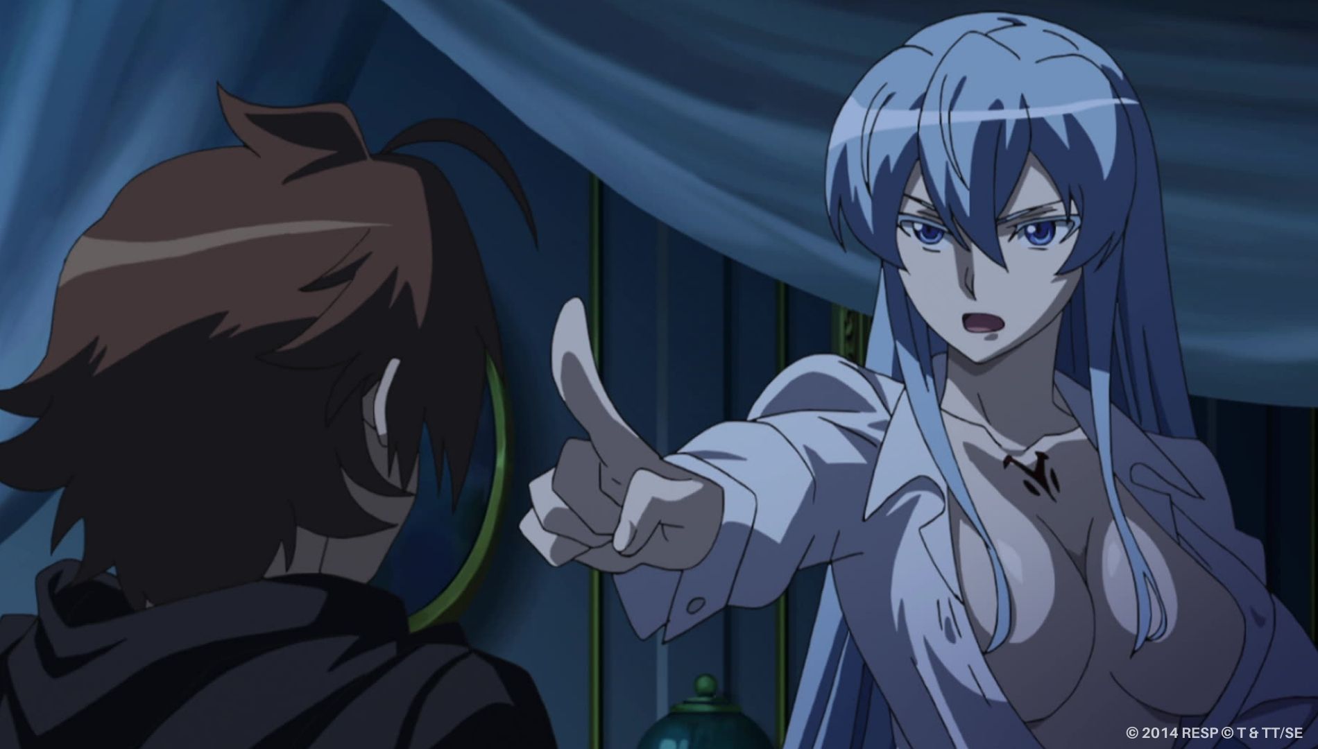 Watch Akame ga Kill!