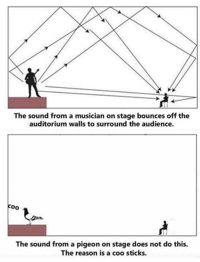 lexfridman's tweet photo. One of the big mysteries in modern physics... https://t.co/eeWO0eMz5j