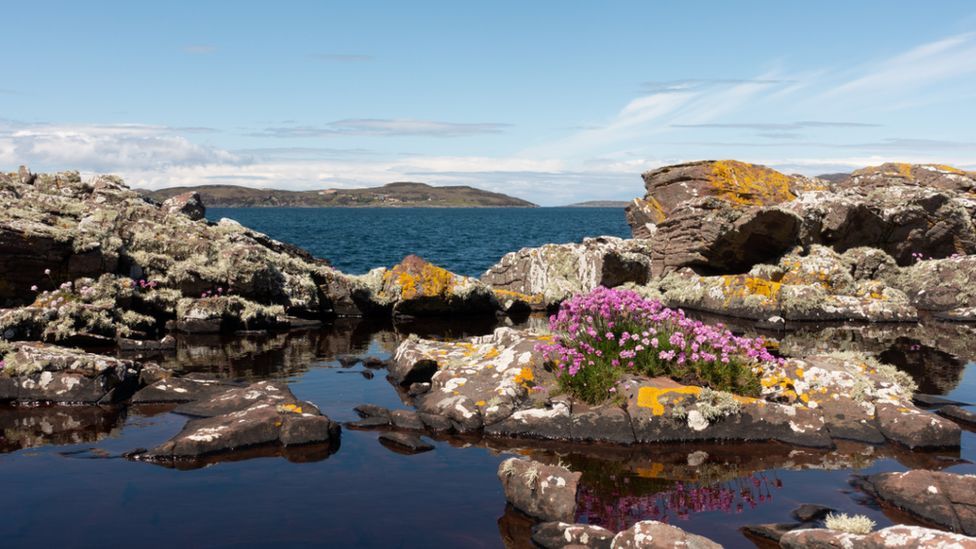 tripplannermama's tweet photo. Rubha Dunan, Coigach by Jon Stevenson https://t.co/JdDSvpaqRP #Scotland #photography #ladnscape https://t.co/GZEc6XIOzJ