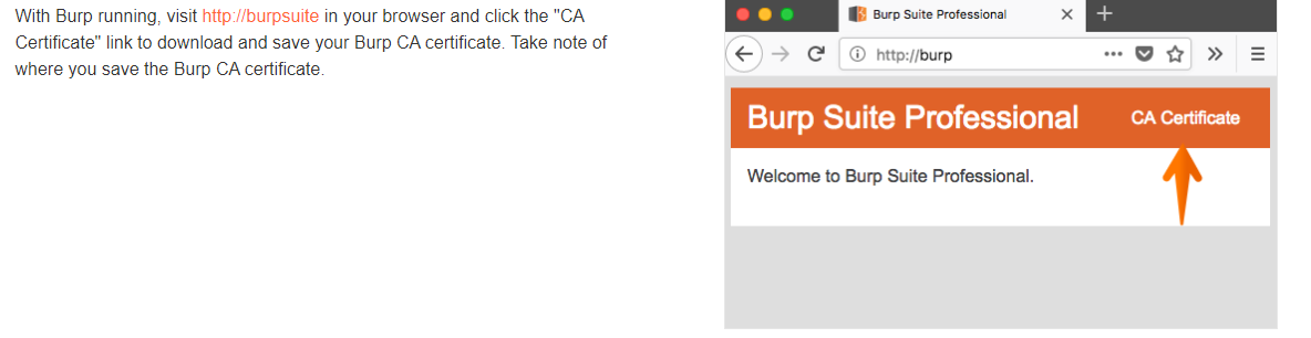 ZineaLLC's tweet photo. lol why does your instructions have http://burpsuite in it, but the screenshot has http://burp. BTW the correct one is the one in the screenshot to get a CA cert -_- @Burp_Suite #instructionsfail #cybersecurity #infosec https://t.co/gmv3ZVFDJ8