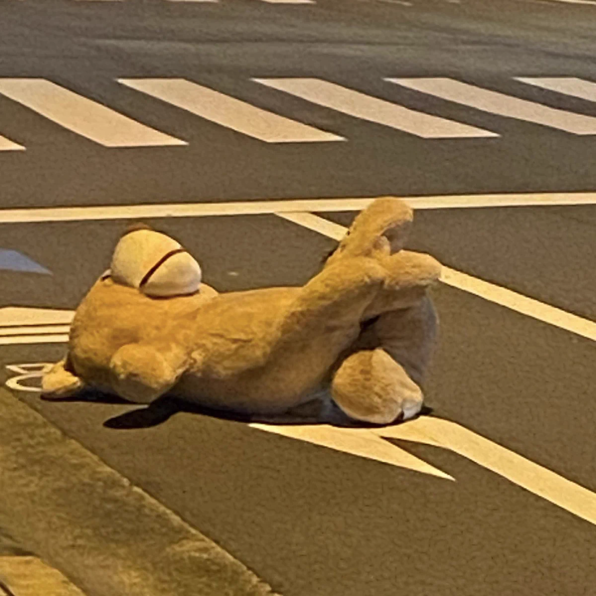 捨てられたクマのぬいぐるみ。保護してコインランドリーで洗おうとするも…？