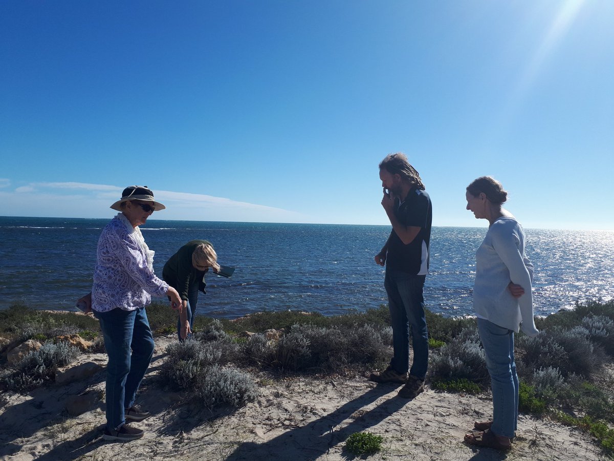micpayne2's tweet photo. Checking out project sites with Greenhead Coastcare on this beautiful Winters day. Great to see the results from their brushing works 👏 https://t.co/JPuz6iY3UZ