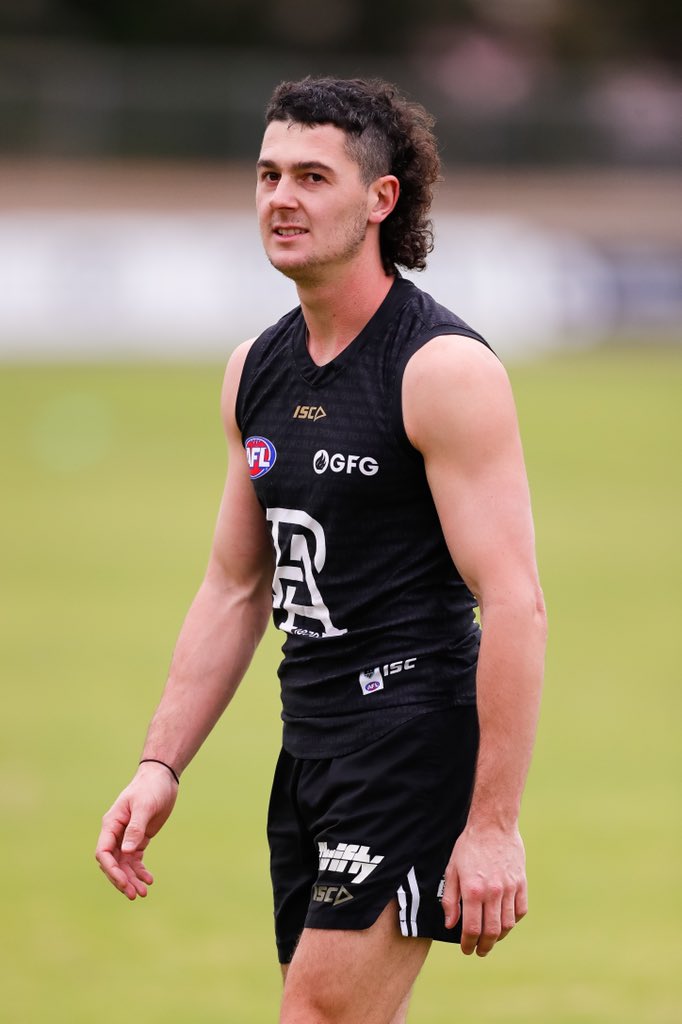 Willem Drew tweet media