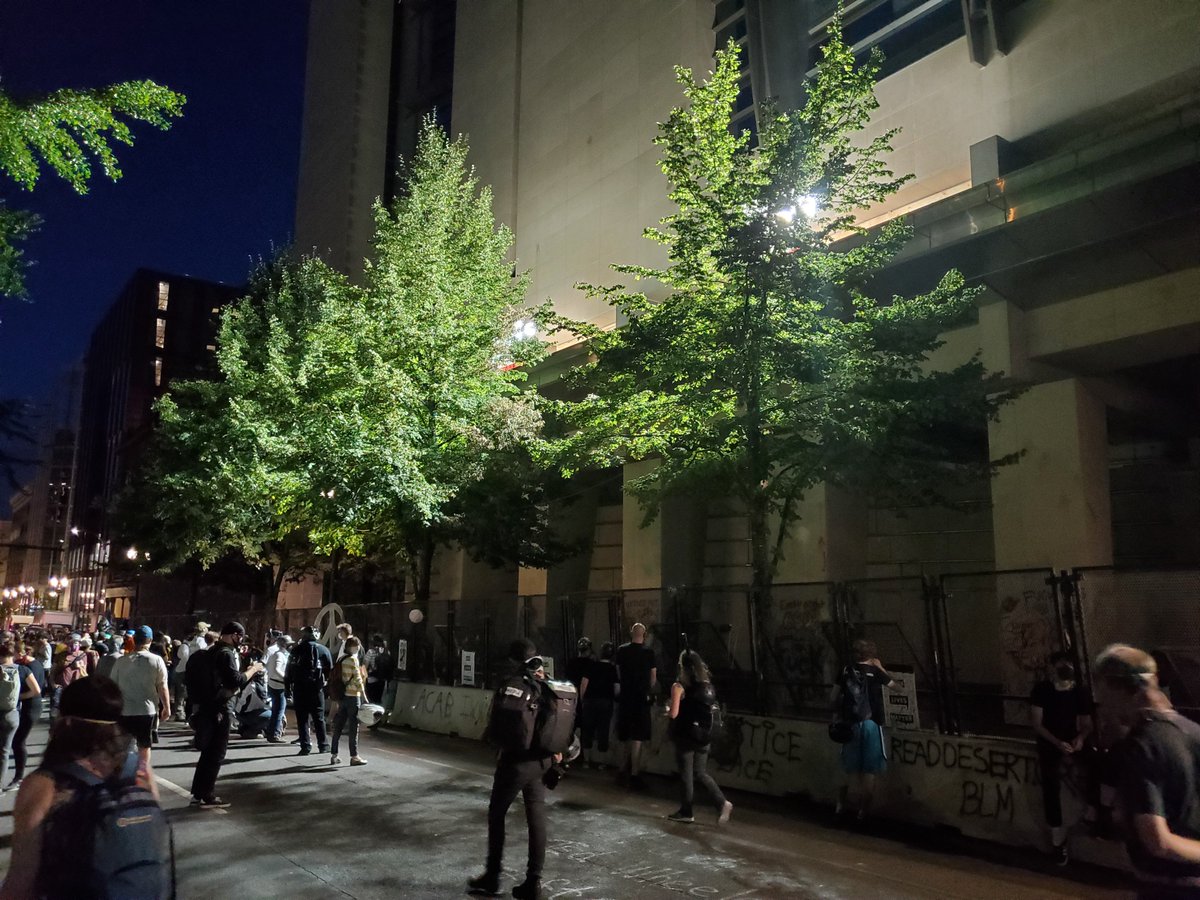 Several hundred people in the parks/street in front of the Justice Center and federal courthouse right now.