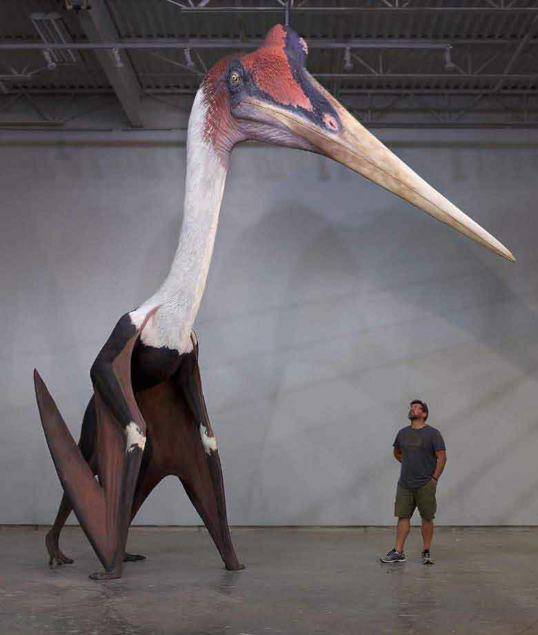 RafhatRoya's tweet photo. 🌎 ۱۷۷میلیون سال قبل پرنده ای زندگی میکرد به نام (Quetzalcoatlus) که محققان آنرا با ابعاد واقعی بازسازی کردند و حالا شما او را درکنار انسانی با قد ۱۸۰ سانتی متر میبینید! https://t.co/Y9v3uvWtPi