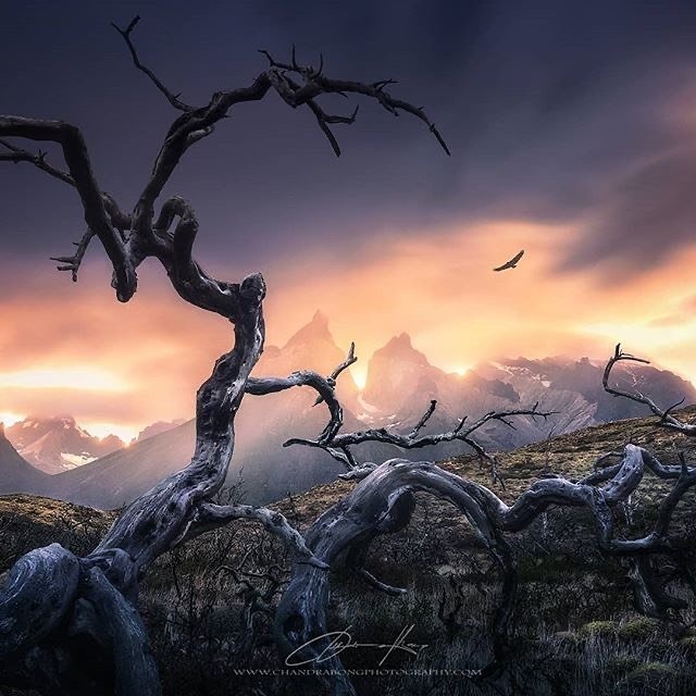 Only Fans Exclusive Network tweet media