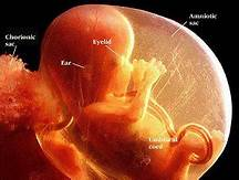 RegenerativeMe2's tweet photo. Human #amnioticfluid: a source of #multipotent #stemcells for #clinical #use
Submission online at : https://t.co/fsCZrYqlFt or
mail us: regenmed@journalres.org https://t.co/VbR2PXQ92L