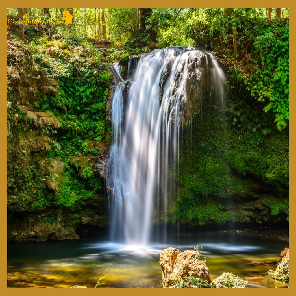 ChardhamOnline's tweet photo. Corbett Falls  
Small waterfall surrounded by forest 
#CorbettFalls #ChardhamOnline #TouristGuide #TouristAttraction #Uttarakhand #UttarakhandTourism #IndianTourism #BestPlace #TourOprater #TravelinIndia #touristplace #travelphotography  #traveler #travel https://t.co/JTHv7dAUVa