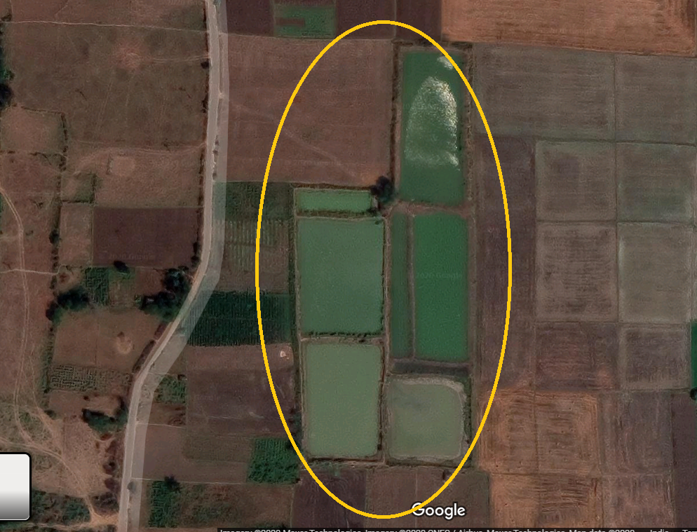 Aswathamaa_Ofcl's tweet image. எங்க அப்பாரு எங்களுக்கு விட்டு சென்ற 4.5 ஏக்கரா நிலம் மகன் கள் நால்வரும் உத்தியோகம் என்று நகரத்திற்கு வந்தாரங்குடிகளாகிவிட்டோம்

நாங்கள் விற்றுவிட்டு வந்த நிலம் இப்போது இறால் குட்டைகளாகிவிட்டதை கூகுள் மேப்பில் பார்த்தபோது இரத்த கண்ணீர் வருகிறது