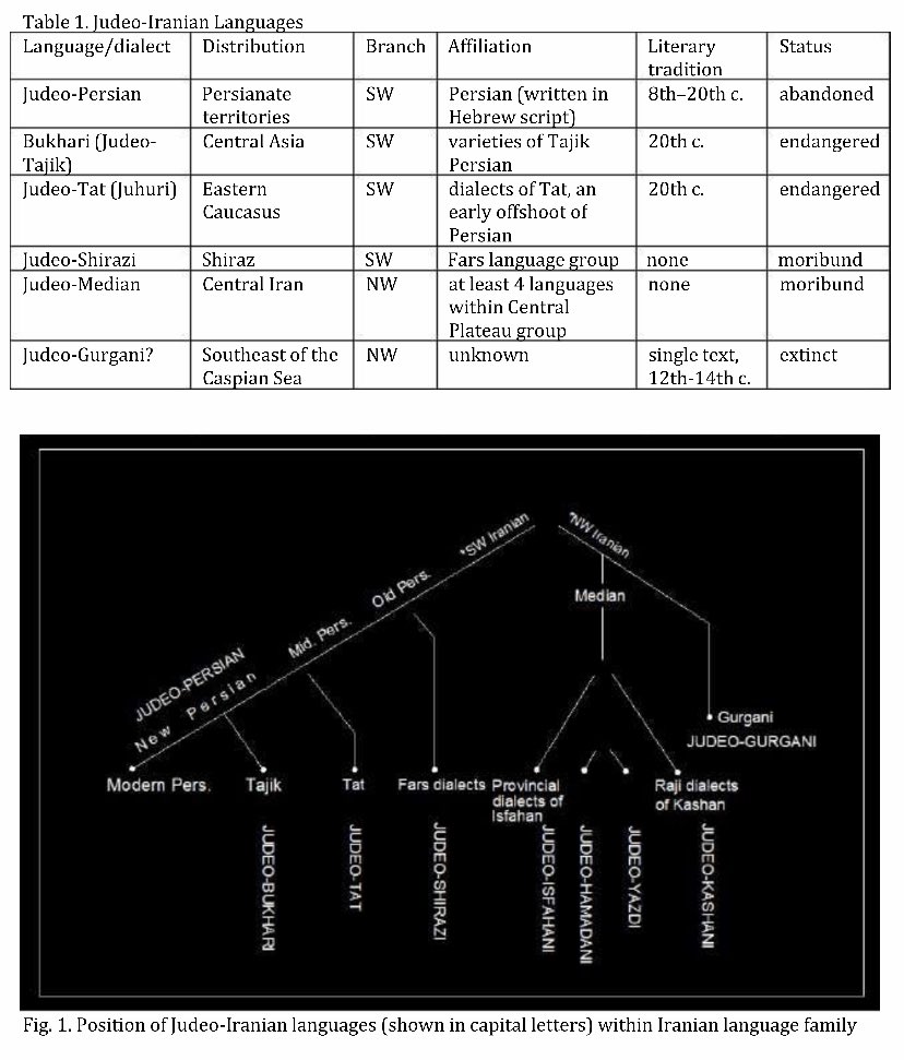 our language is called juhuri, or often judeo-tat in academic settings because of its closeness to the tat language. it is a southwestern iranian language that is very similar to modern persian, with influences from hebrew and a number of kavkazi languages.