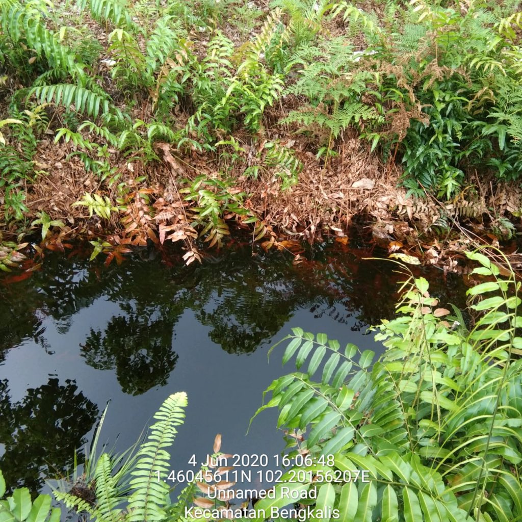 ucuksss's tweet photo. Kegiatan survey untuk pembangunan infrasturuktur pembasahan lahan gambut sekat kanal, di desa kelebuk bengkalis bersama masyrakat dan Babinsa demi mencegah nya kebakaran dan kekeringan di lahan gambut #DPGCegahKarhutla @KemensetnegRI @BRG_Indonesia https://t.co/GvMFNtiCXC