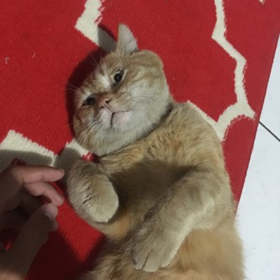 Helloo twitter 😁 #NewProfilePic