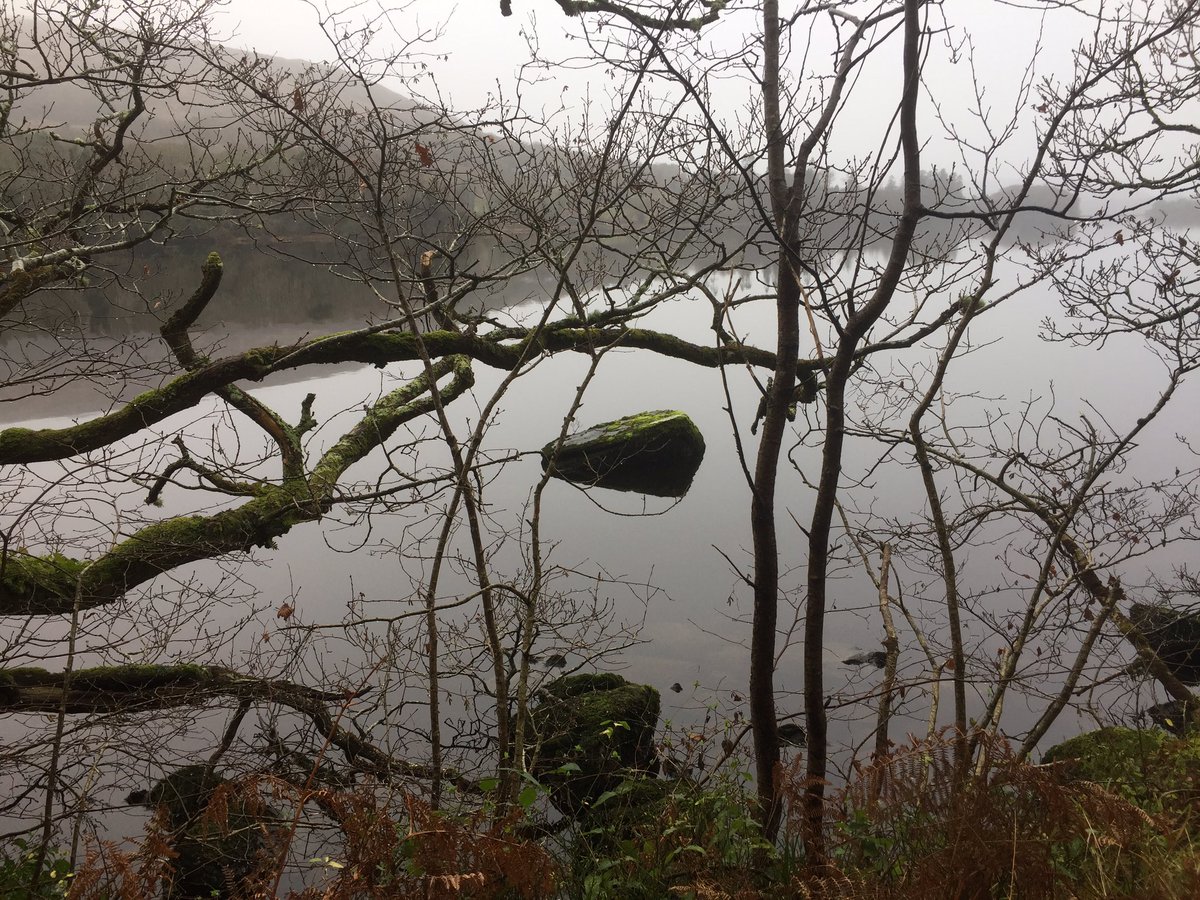 SligoJ's tweet photo. A rock suspended

On a still lake

I can hear silence now https://t.co/IY4lscQYEj