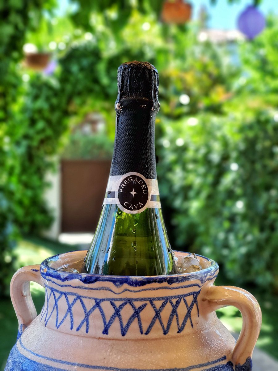 elvinet's tweet photo. ☀️ SUMMER BUBBLES🍾
Preparando la mañana para hacer frente a la ola de calor☀️
¡Ya estoy listo para darle la bienvenida!🍾
¿y tú?😎
#elvinet
#ElsVinyerons #Cava #CavaCatalà #CavaEducator #CavaMoments
#SparklingWine #QualitySparklingWine
#Wine
#WineEducator #PersonalWineShopper https://t.co/ew7LYW8l9q