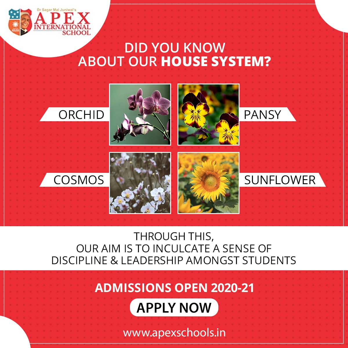 apexINTschool's tweet photo. Our house system at #Apexinternationalschool makes it easier for children to understand the concept of Leadership and Discipline. We include all the unique ways that there are in order to facilitate growth in children.

Admissions Open for session 2020-21

#growth #grow https://t.co/JYhJddU540