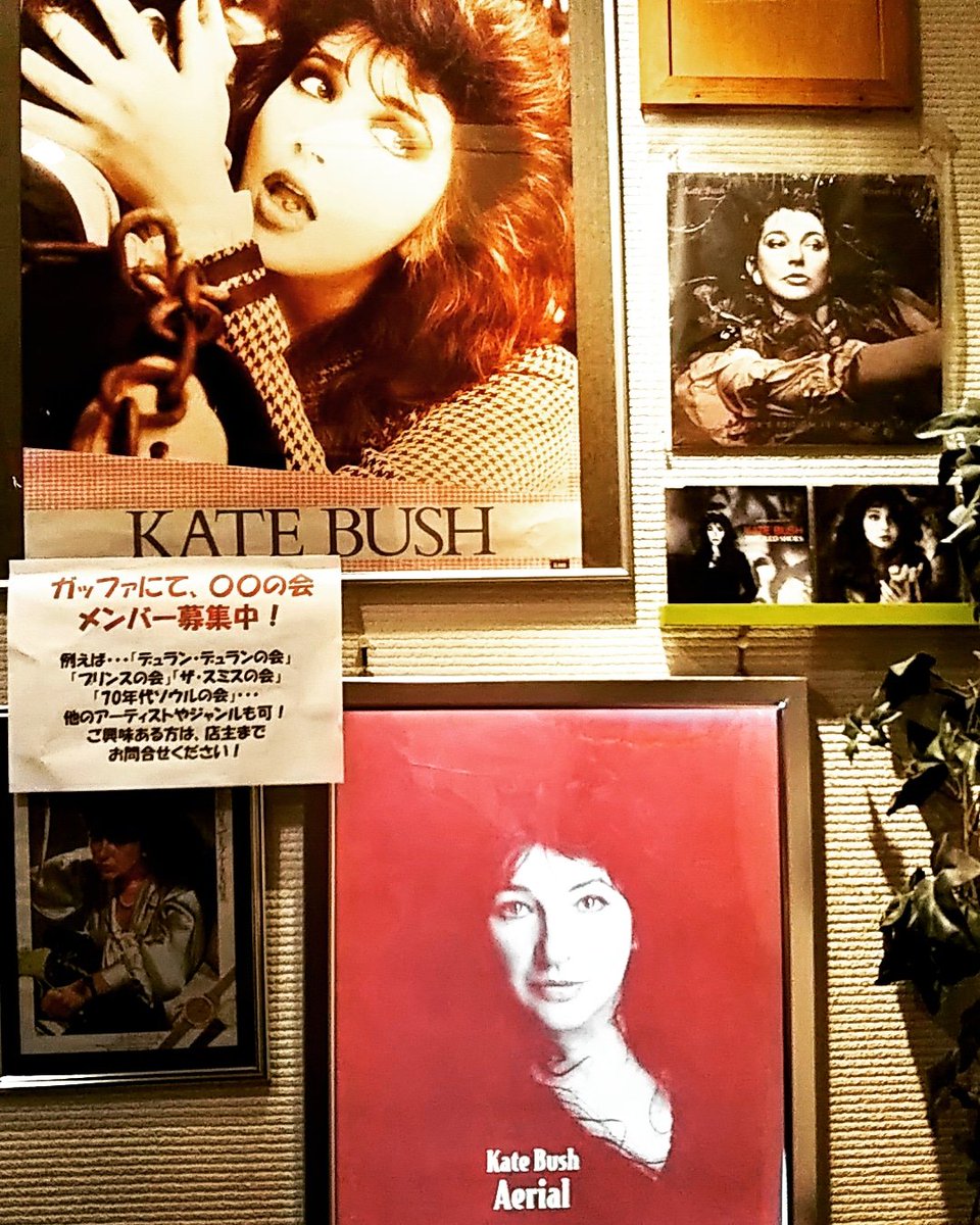 musicbargaffa's tweet photo. 今日はケイト・ブッシュ62歳の誕生日🎁🎂🎉今年はイベント（ケイトマス）開催しませんが、お祝いリクエストお待ちしております🎵今夜もガッファは19時オープン予定です✨ #katebush #hbdkate #katemas #ケイトブッシュ https://t.co/ZEJ78hJgD4