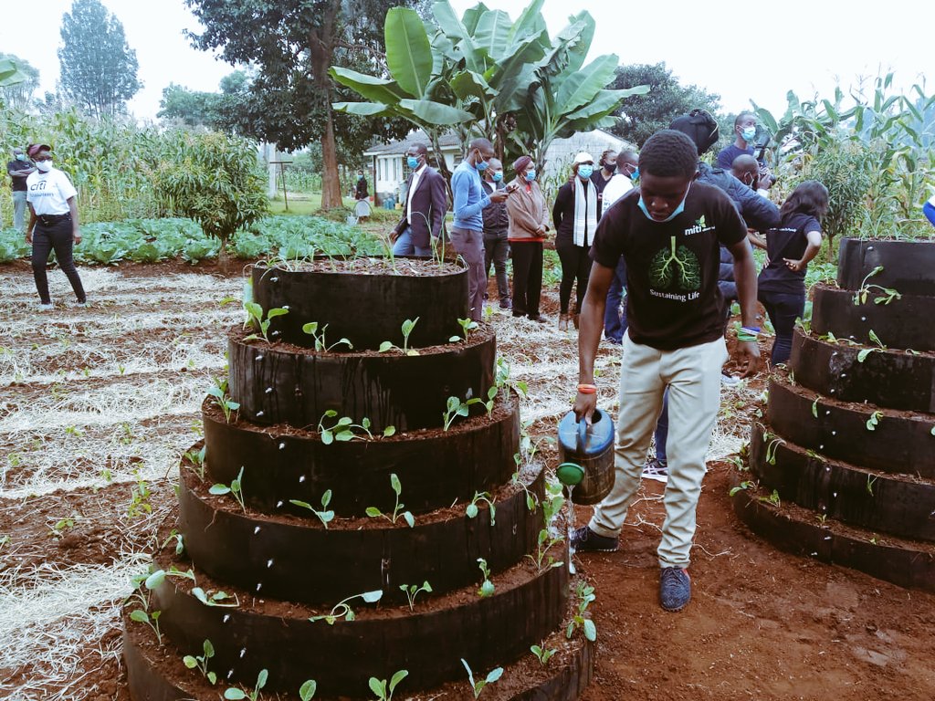 LamechLamarch25's tweet photo. We (@MitiAlliance) are converting the unused spaces &amp; Transforming them into urban food gardens. 
Setting up kitchen &amp; Vertical gardens at different Children's homes to enhance food security. 
#PandaBustani https://t.co/33R9i16V4W