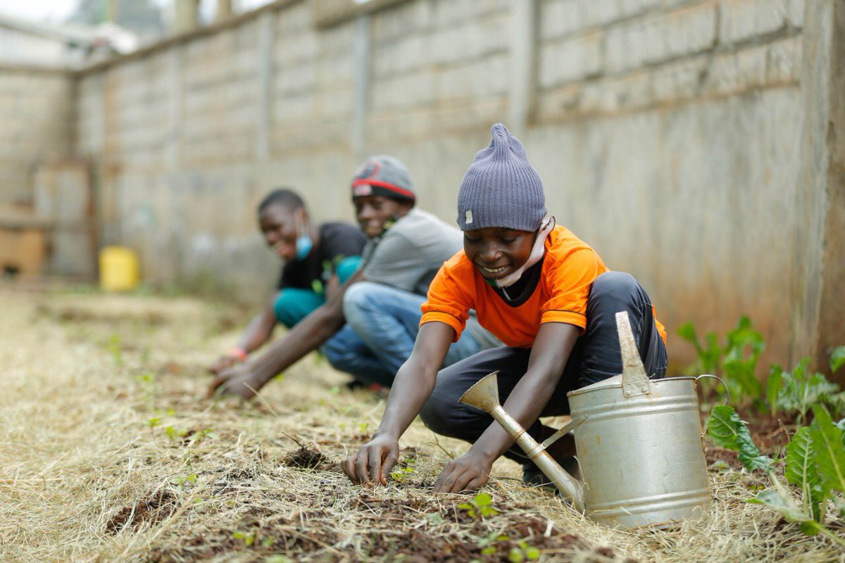 LamechLamarch25's tweet photo. We (@MitiAlliance) are converting the unused spaces &amp; Transforming them into urban food gardens. 
Setting up kitchen &amp; Vertical gardens at different Children's homes to enhance food security. 
#PandaBustani https://t.co/33R9i16V4W
