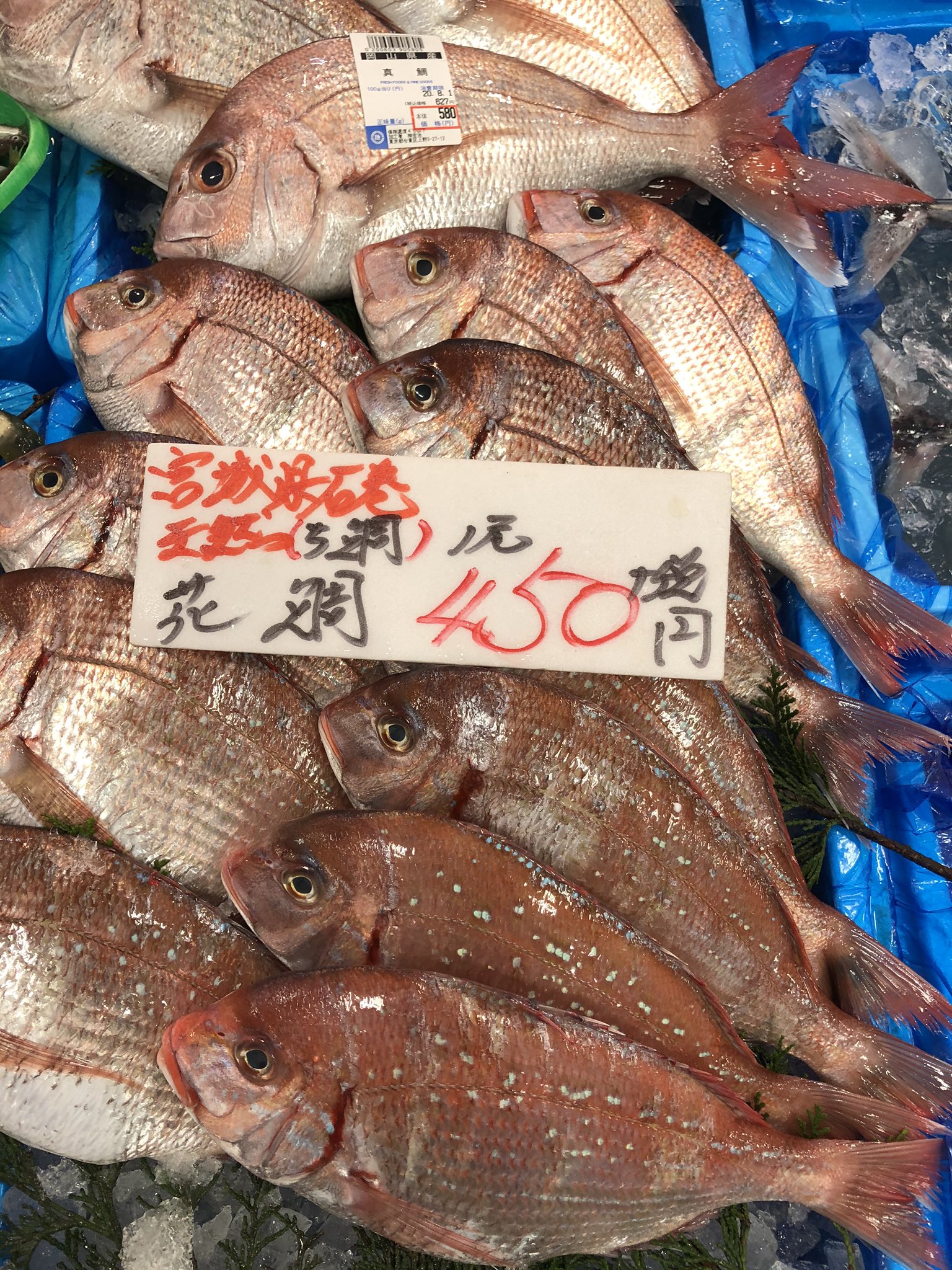 Twitter 上的吉池 天然の花鯛入荷 T Co Cenyixlil3 Twitter