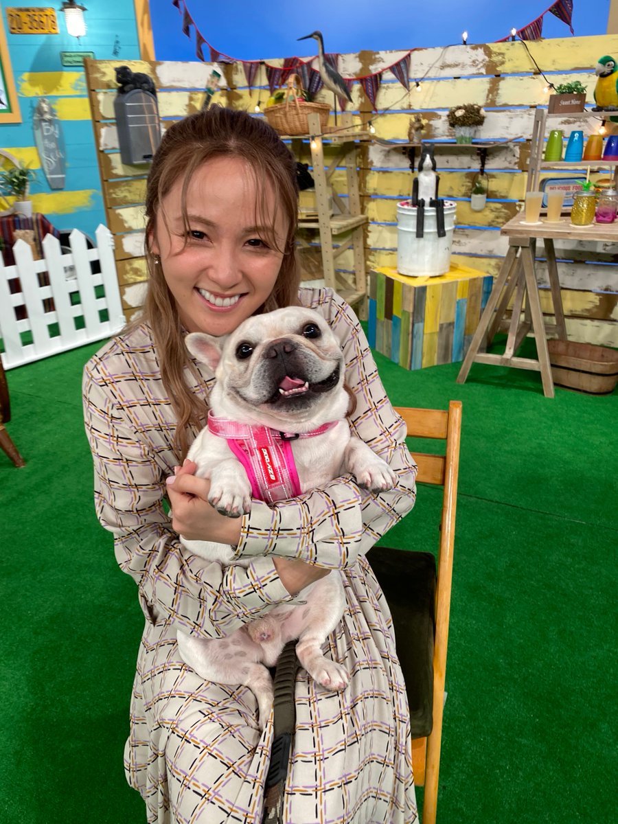 テレビ東京 今夜6時25分 どうぶつピース 超かわいい激レア大家族 鴨川シーワールド完全攻略sp ゲストは Dreamami さん 芸能界１のシャチ好きamiが鴨川シーワールドに訪れ 半年ぶりにシャチに再会 シャチマニアのamiならではの楽しみ方に