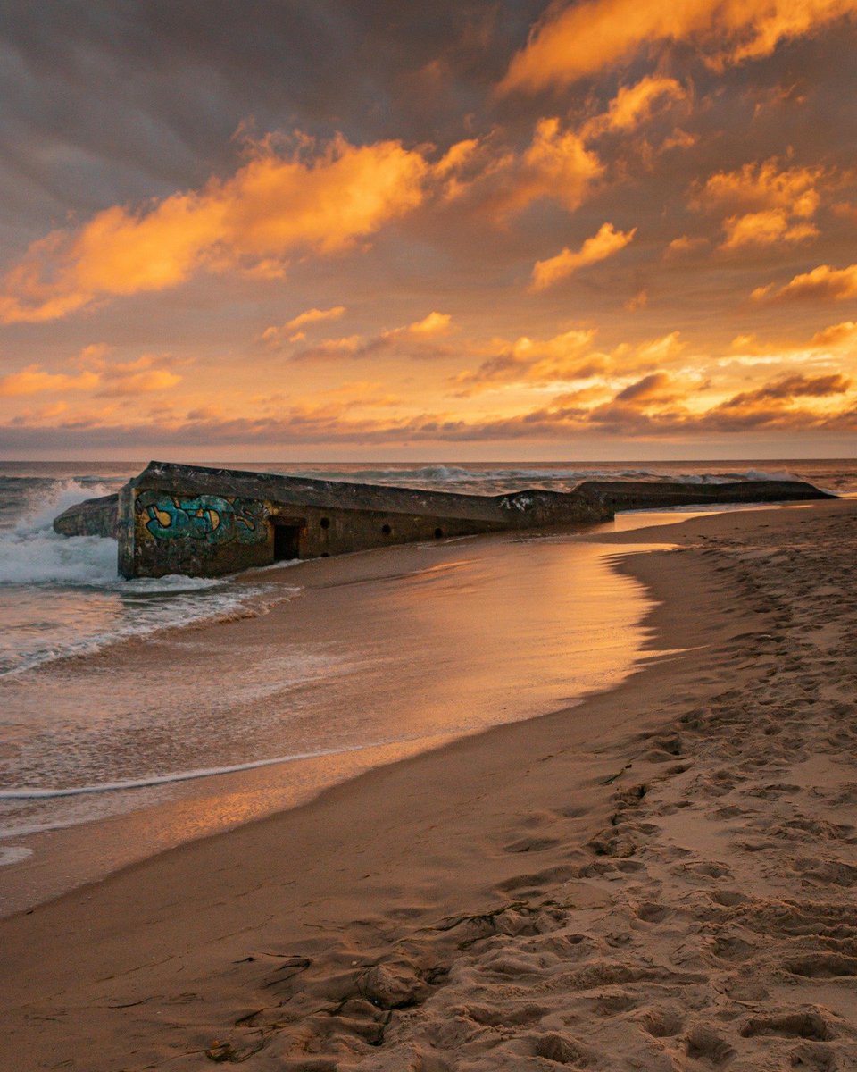 RonGS_'s tweet image. Sur la plage abandonnée ⛱️🦀 #jeudiphoto