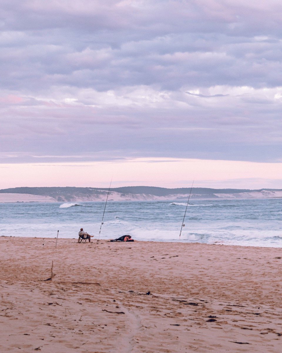 RonGS_'s tweet image. Sur la plage abandonnée ⛱️🦀 #jeudiphoto