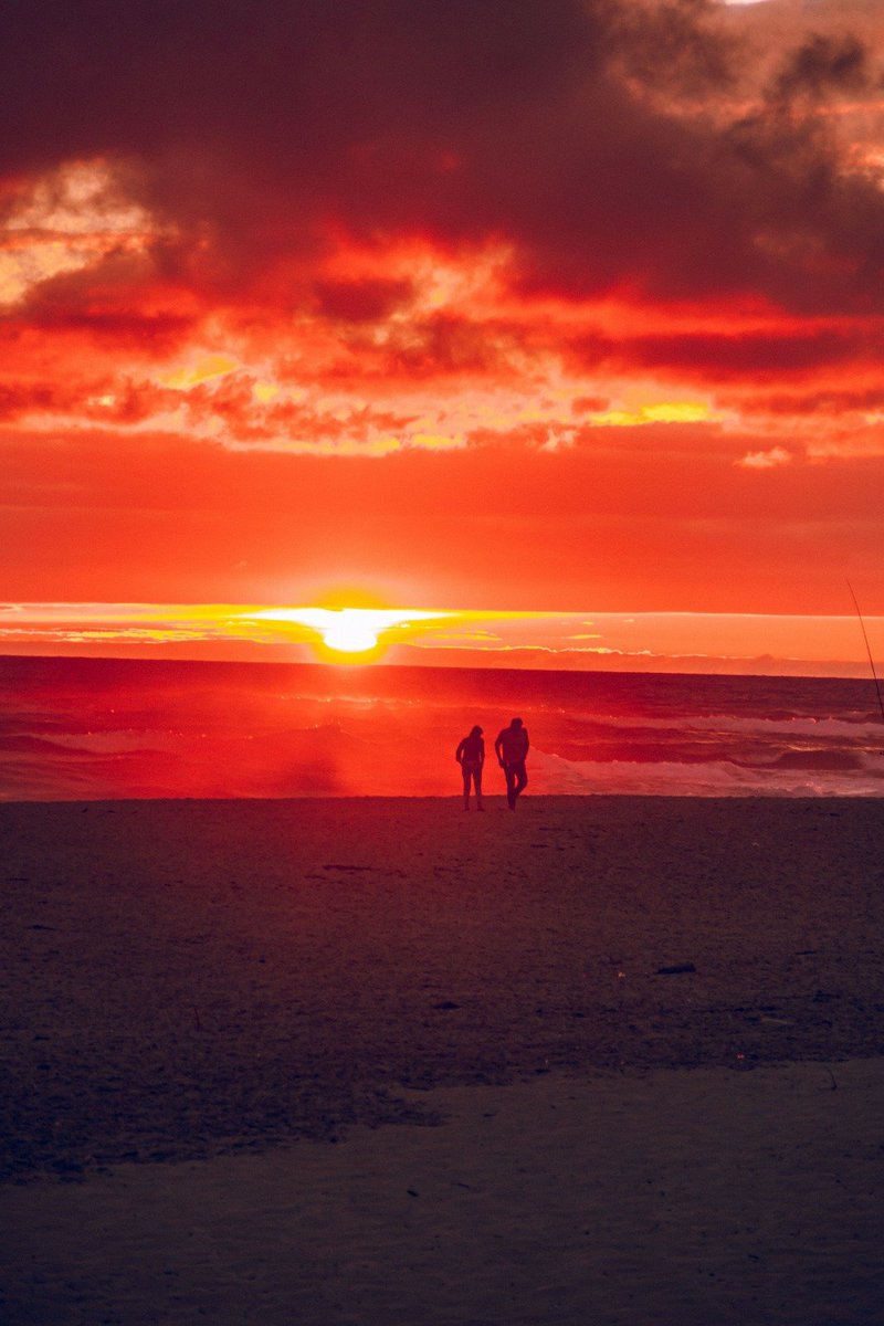 RonGS_'s tweet image. Sur la plage abandonnée ⛱️🦀 #jeudiphoto