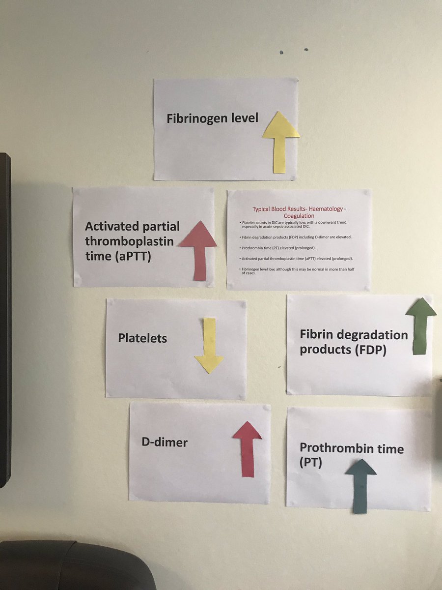 lucy webber (@lucywebber13) on Twitter photo And so the theme of Oncological emergencies continues - DIC. #learningwhilstworking #dreamteam #education <a href="/MunnsFaye/">Faye Munns</a> <a href="/smcb123/">Siobhan Browne 💙</a> <a href="/heckyotoole/">Helen gallagher 💙</a> And so the theme of Oncological emergencies continues - DIC. #learningwhilstworking #dreamteam #education <a href="/MunnsFaye/">Faye Munns</a> <a href="/smcb123/">Siobhan Browne 💙</a> <a href="/heckyotoole/">Helen gallagher 💙</a>
