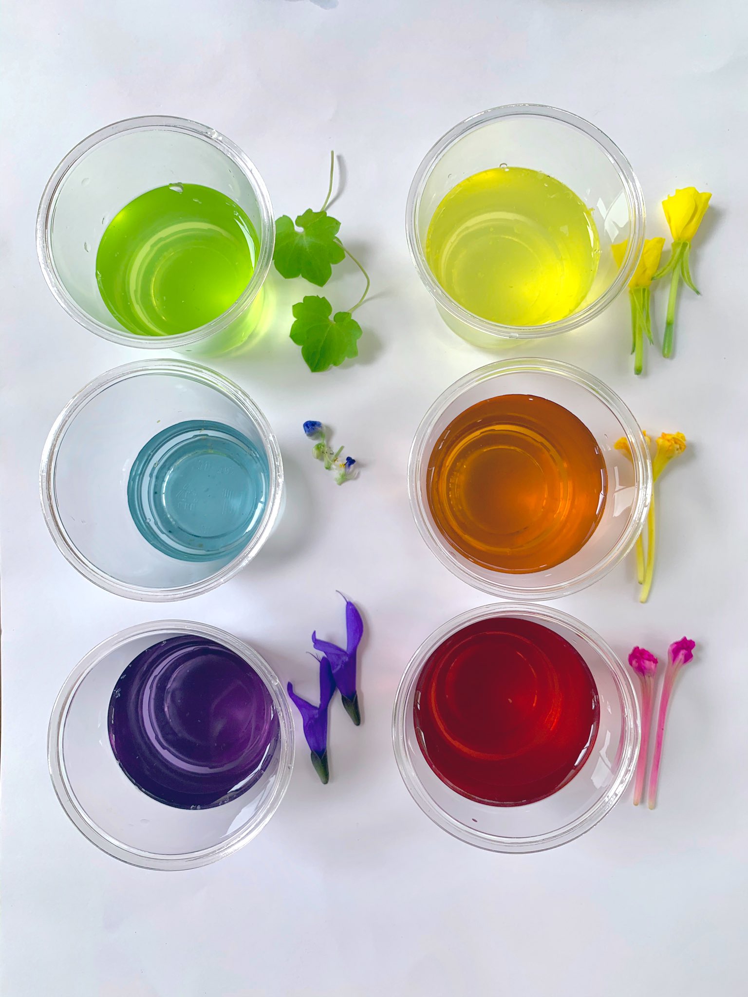 Inori Kusabanaasobi Twitter