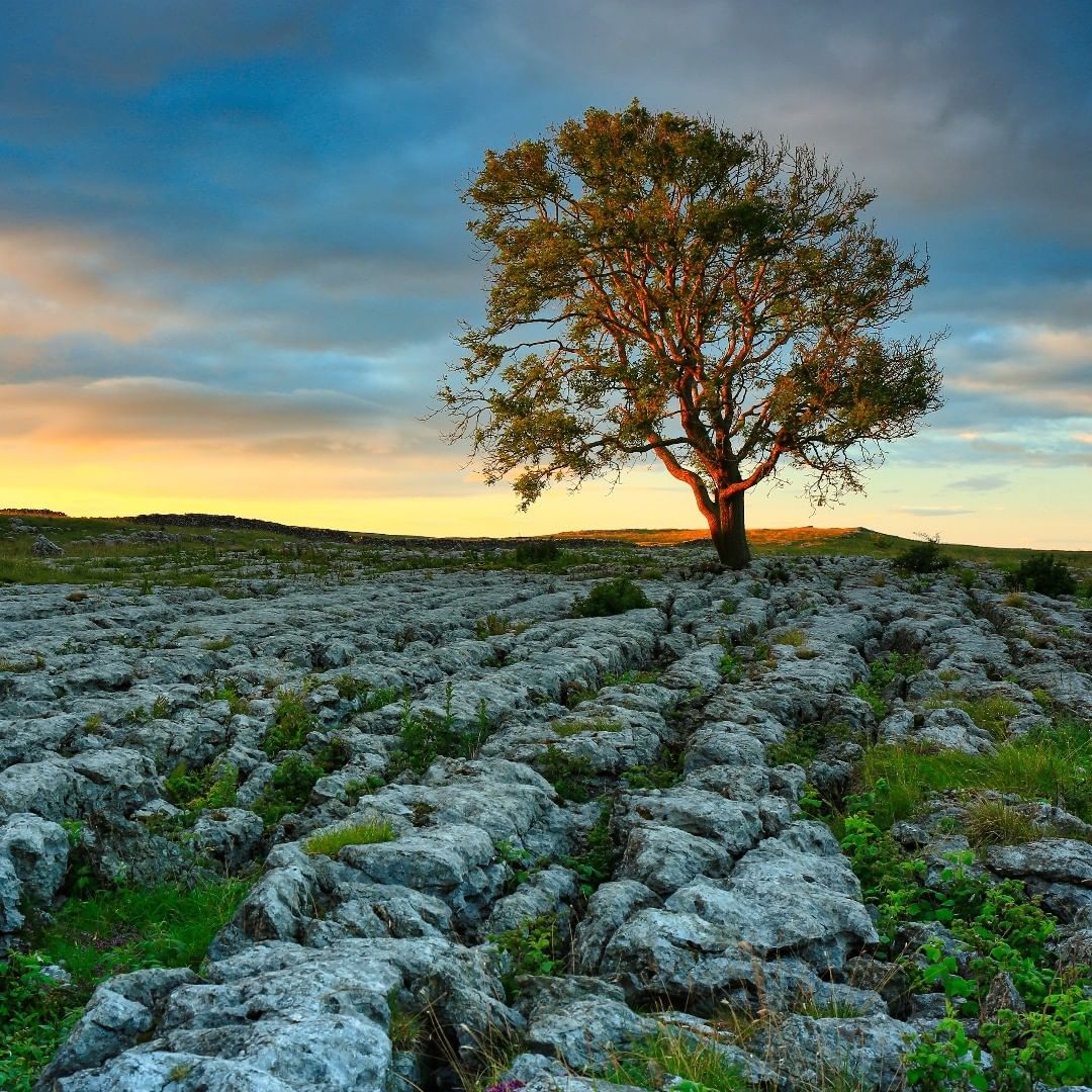 squareofin's tweet photo. Amazing Nature... 😍

📍Yorkshire Dales
📸 @ jeff.duggy 

 #yorkshiredales #malham #vistbritain #visityorkshiredales #visitengland🇬🇧 #explorebritain #exploreyorkshiredales #exploreournationalparks #greatoutdoors #exploretheoutdoors #outdooradventures #adventureoutdoors https://t.co/FGXfzsPCwZ
