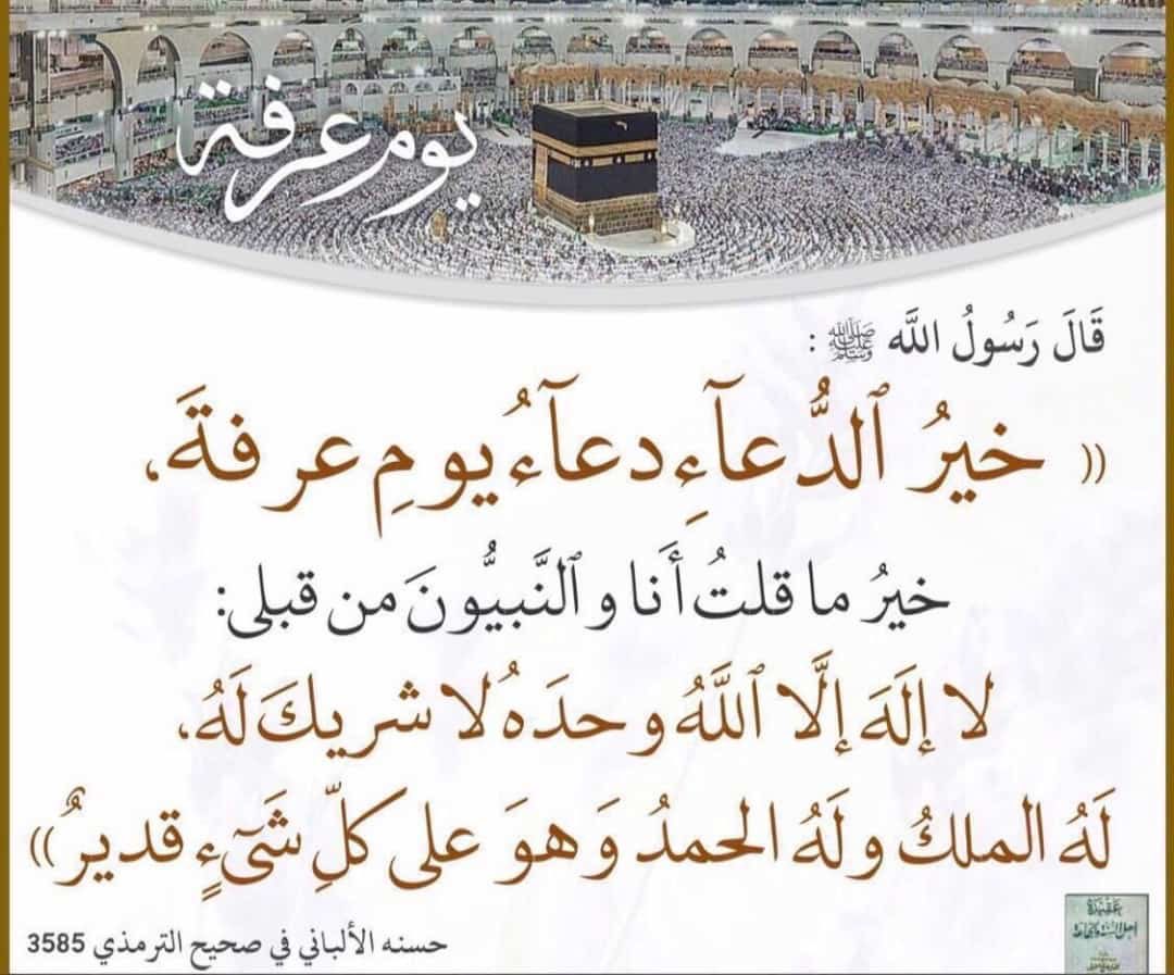 DiverGood's tweet image. 