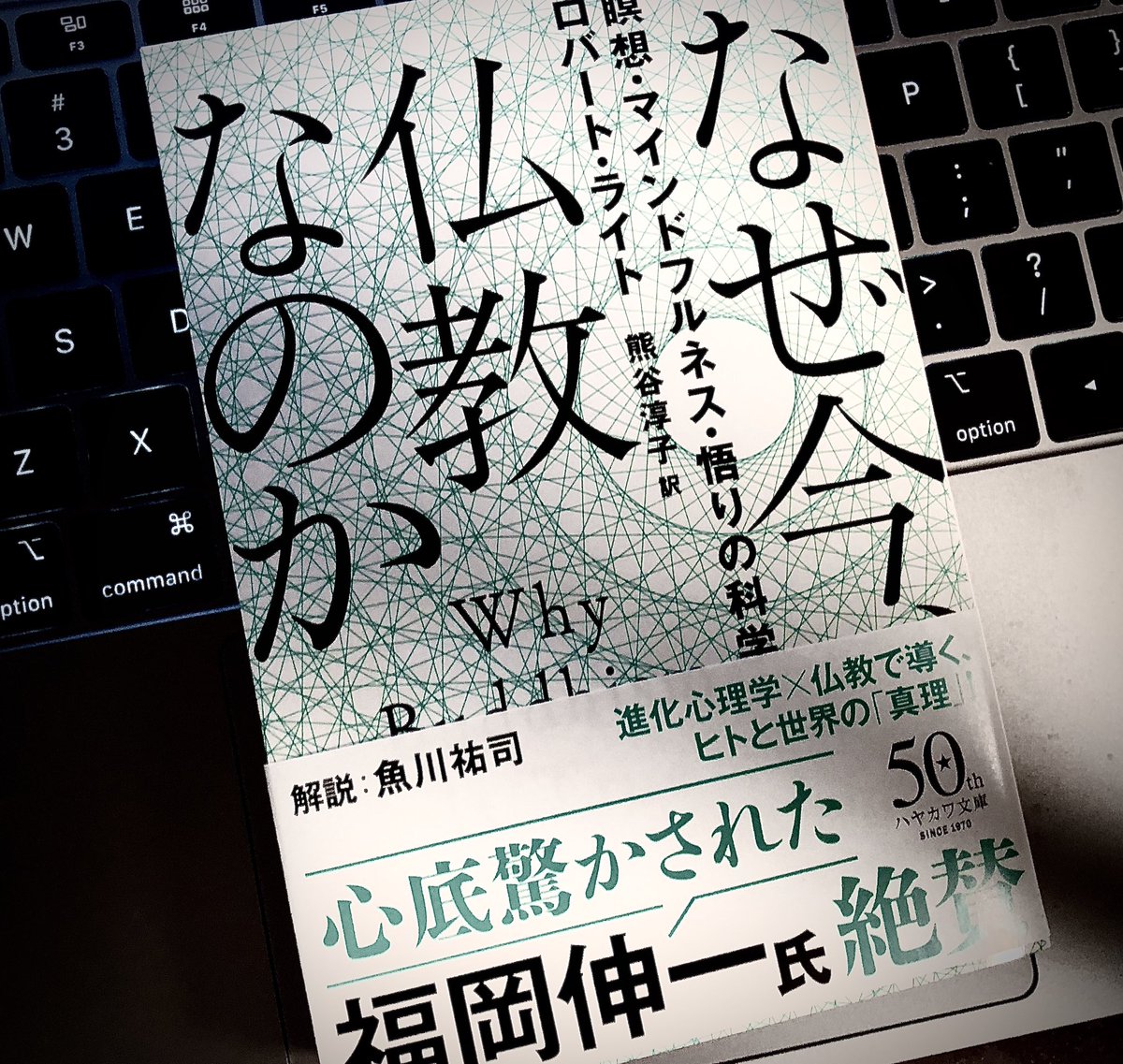 なぜ今、仏教なのか 