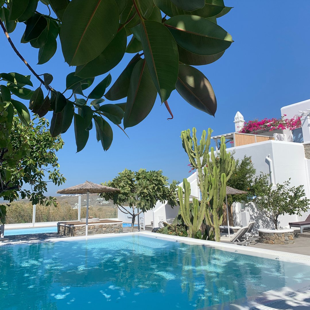 Fiona Jane (@fionajanej) on Twitter photo 