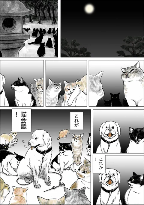 や、どうも。
『増刊フラワーズ』に載せてもらって2かんにも載せた「あこがれの猫会議」のこうへんですよ。
3かんは10がつ中旬に出るから、おたのしみに! 