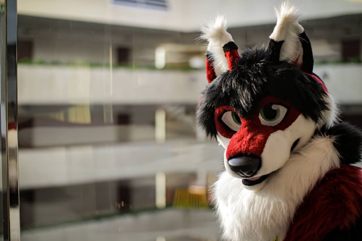 ...I really want to thank @MeiFursuits for bringing him to life. #furry #fu...