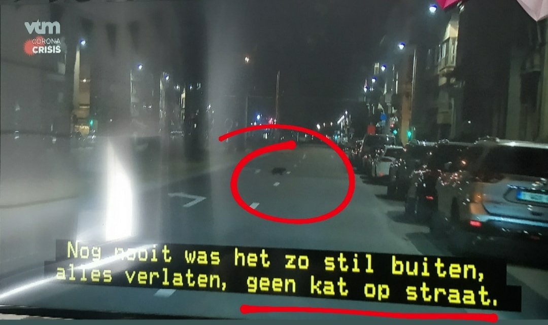 Jonathan Loeys 🏳️‍🌈 tweet media