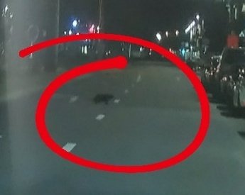 Jonathan Loeys 🏳️‍🌈 tweet media