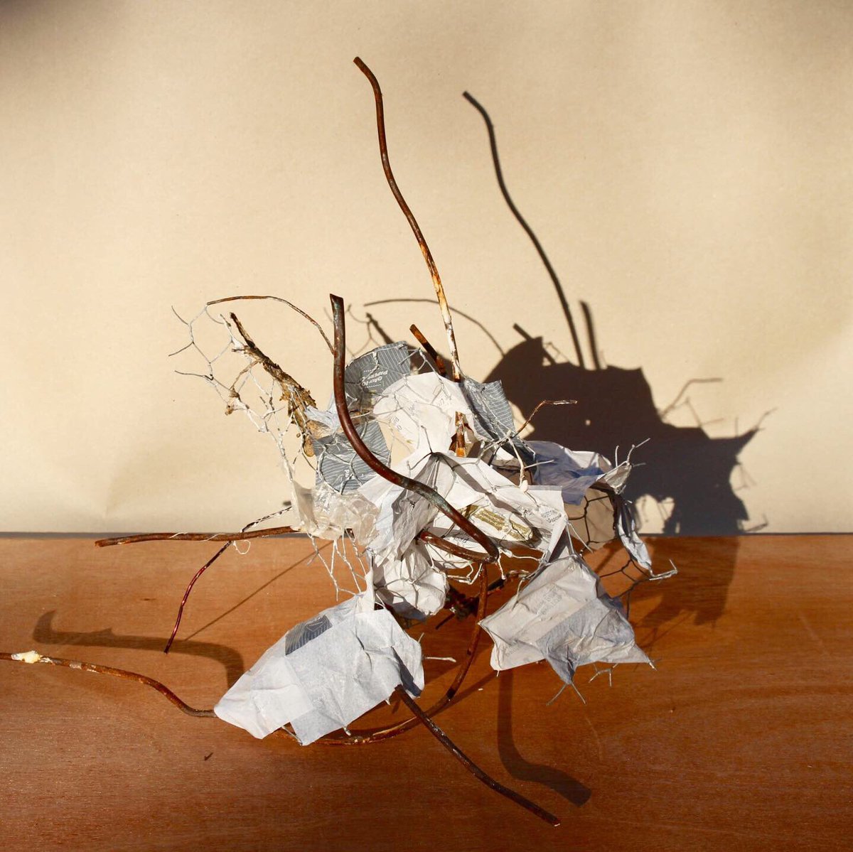 fionasculpture's tweet photo. Interested in exploring your creativity &amp; learning new skills?My new online 5 week #sculpturecourse starts this Mon 3 Aug. Vsit https://t.co/F0Jl3O94fb for info.  Enrol by 31 July!  Please RT https://t.co/v45vcBfvKI