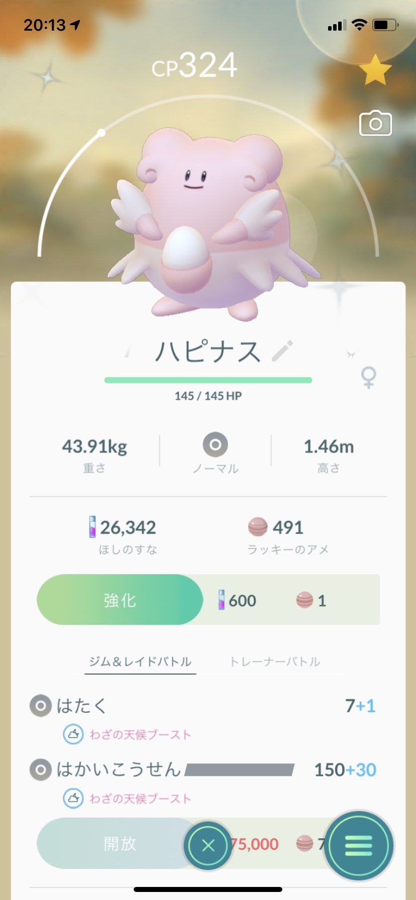 色違いハピナス Twitter Search Twitter