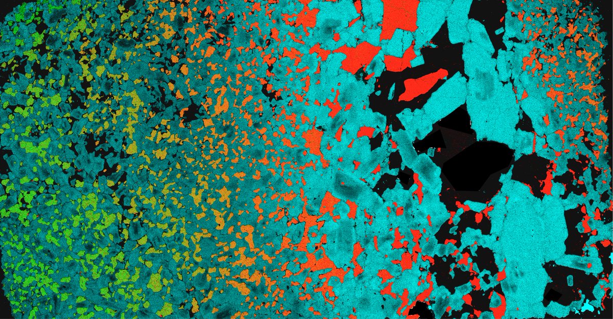 Variation in olivine and plagioclase compositions across a thin section of a troctolitic olivine gabbro from the Indian oceanic crust. Mg=green; Fe=red; Na-blue. #ThinSectionThursday #EDSrocks
