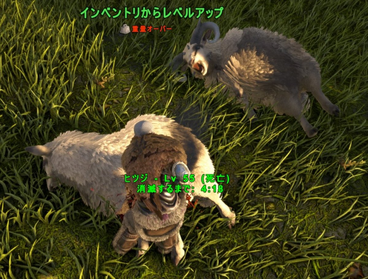 ローズ ジェネシスの毛皮が尽きたので ラグナでトラメンと毛皮集め チェーンソーでガガガガガッっとね 奥の羊の顔が Ark Ps4