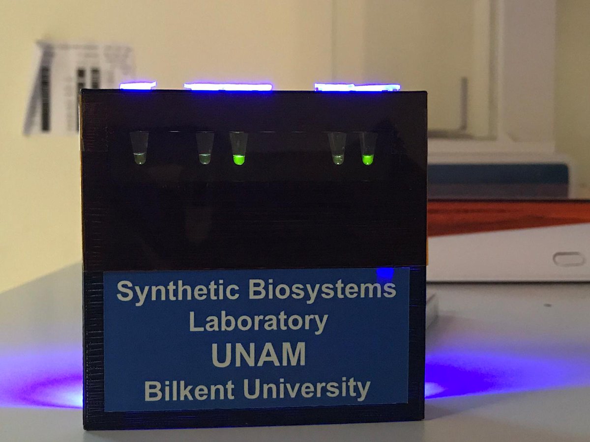 Urartu Şeker tweet media