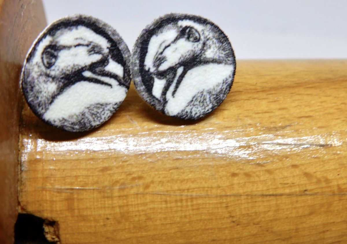buck_lj's tweet image. Dormouse Stud Earrings - Cute Animal Jewellery - Thinking Of You Gift - Gift For Wildlife Lover - Shrink Plastic. tuppu.net/47b25c49 #Etsy #Slumbermonkey #RoundStuds