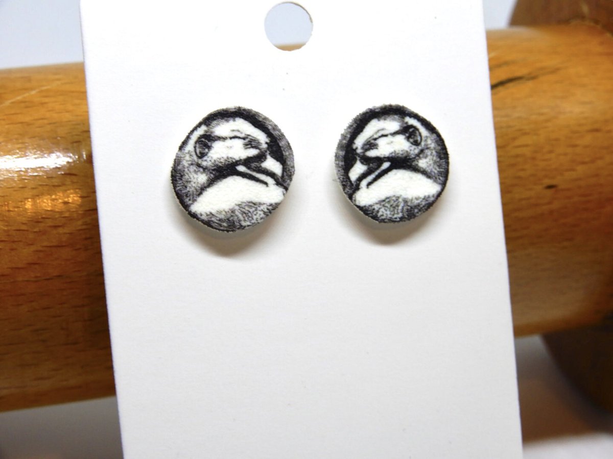 buck_lj's tweet image. Dormouse Stud Earrings - Cute Animal Jewellery - Thinking Of You Gift - Gift For Wildlife Lover - Shrink Plastic. tuppu.net/47b25c49 #Etsy #Slumbermonkey #RoundStuds