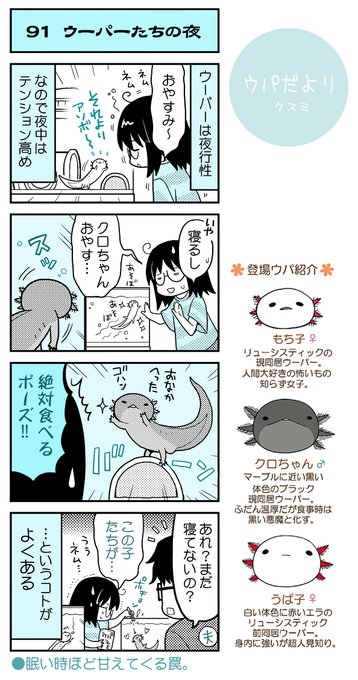ウーパールーパー を含むマンガ一覧 いいね順 6ページ ツイコミ 仮