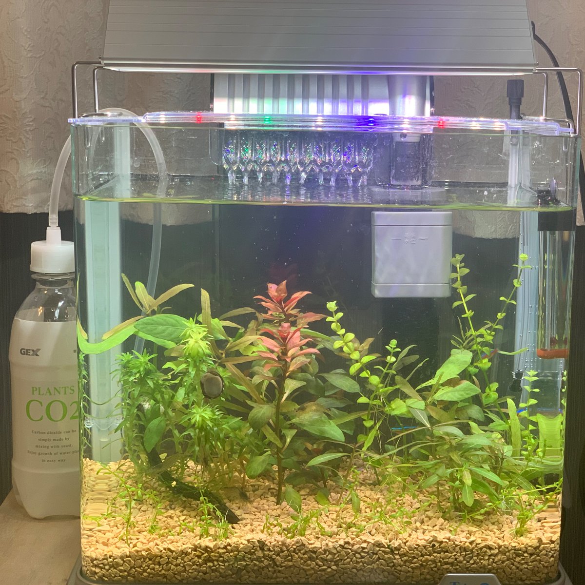 Co2添加 Co2添加
