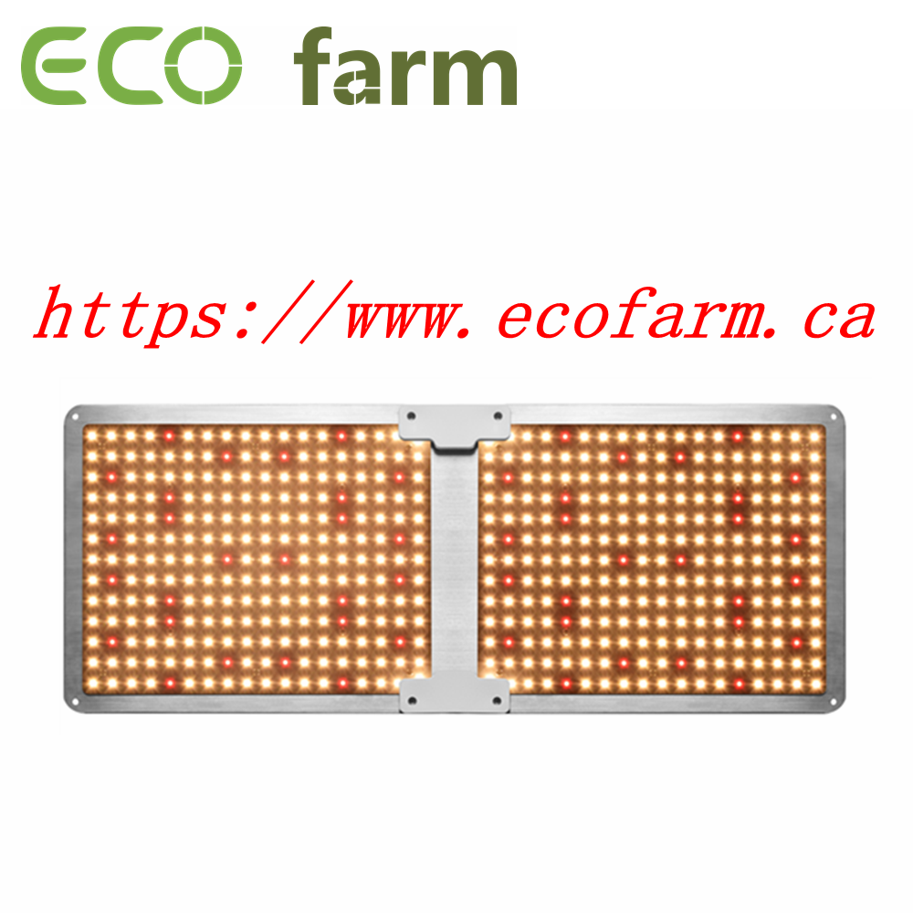 1677715527_2's tweet photo. ECO Farm 220W Quantum Board With Samsung LM281B Chips +UV+IR LED Grow Light
The cheapest and brightest one, you deserve item,
We have three chips could choose: Samsung 301B/Samsung 301H/Samsung 281B chips
#quantumboard #ledlight #growlight #growyourown #indoorplanting #garden https://t.co/irDOfVBPHd